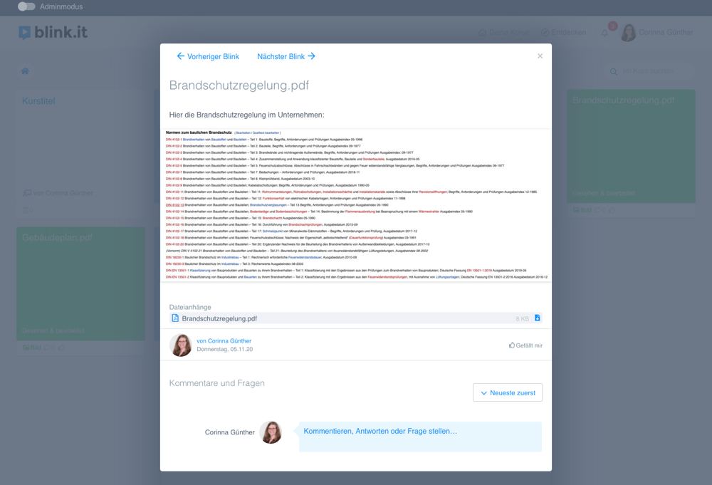 blinkit-beispiel-online-kurs-fehler3