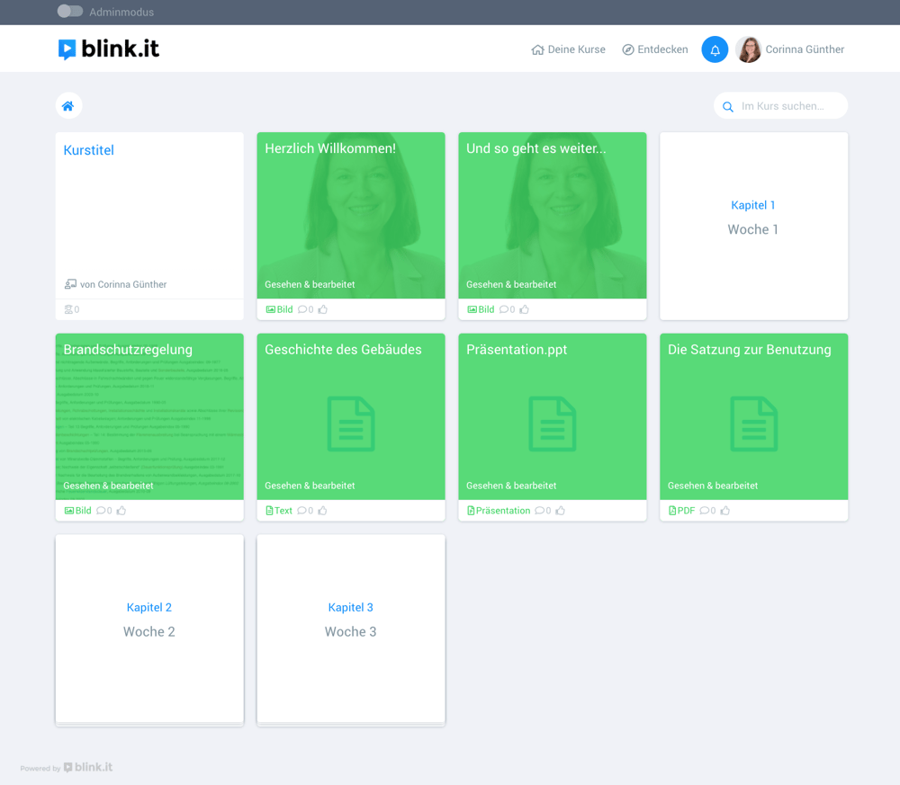 blinkit-beispiel-online-kurs-fehler2
