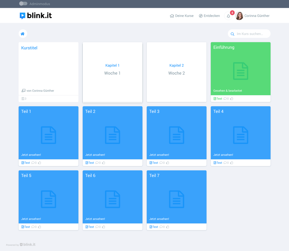 blinkit-beispiel-online-kurs-fehler4