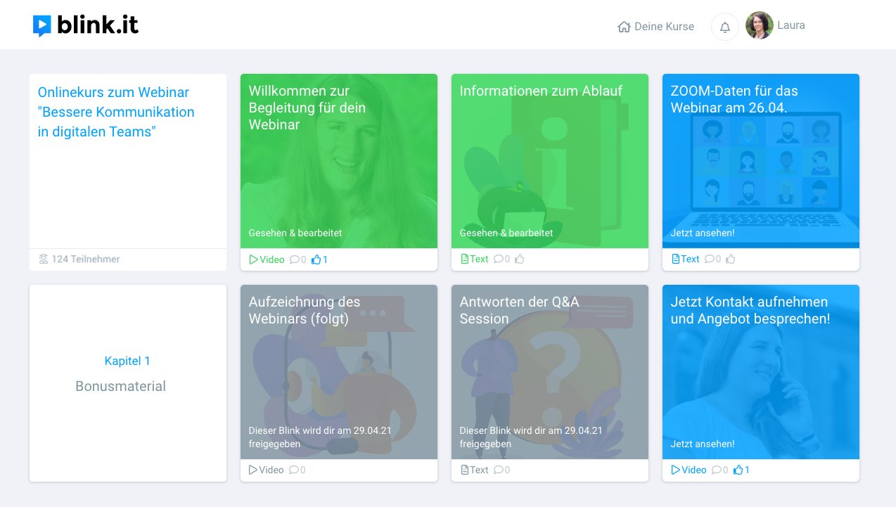 Screenshot_Beispiel_Onlinekurs Webinar