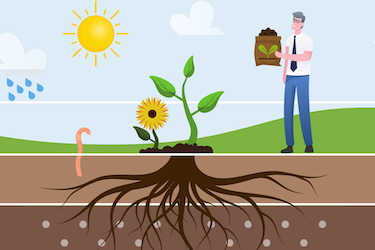 Learning Ecosystem BLOG HEADER (CARD)