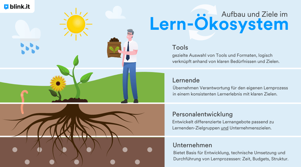 Learning Ecosystem INFOGRAFIK