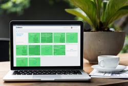 mockup-demokurs-pflanze