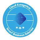 Icon_SmartBusinessSolution_RGB
